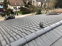 CS Dachservice GmbH