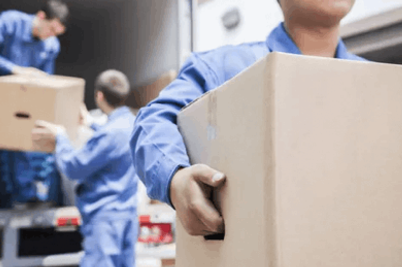 user-upload/business/work-media/foy7f8sv6kh8962xekac0b_transporte-gilbert.png